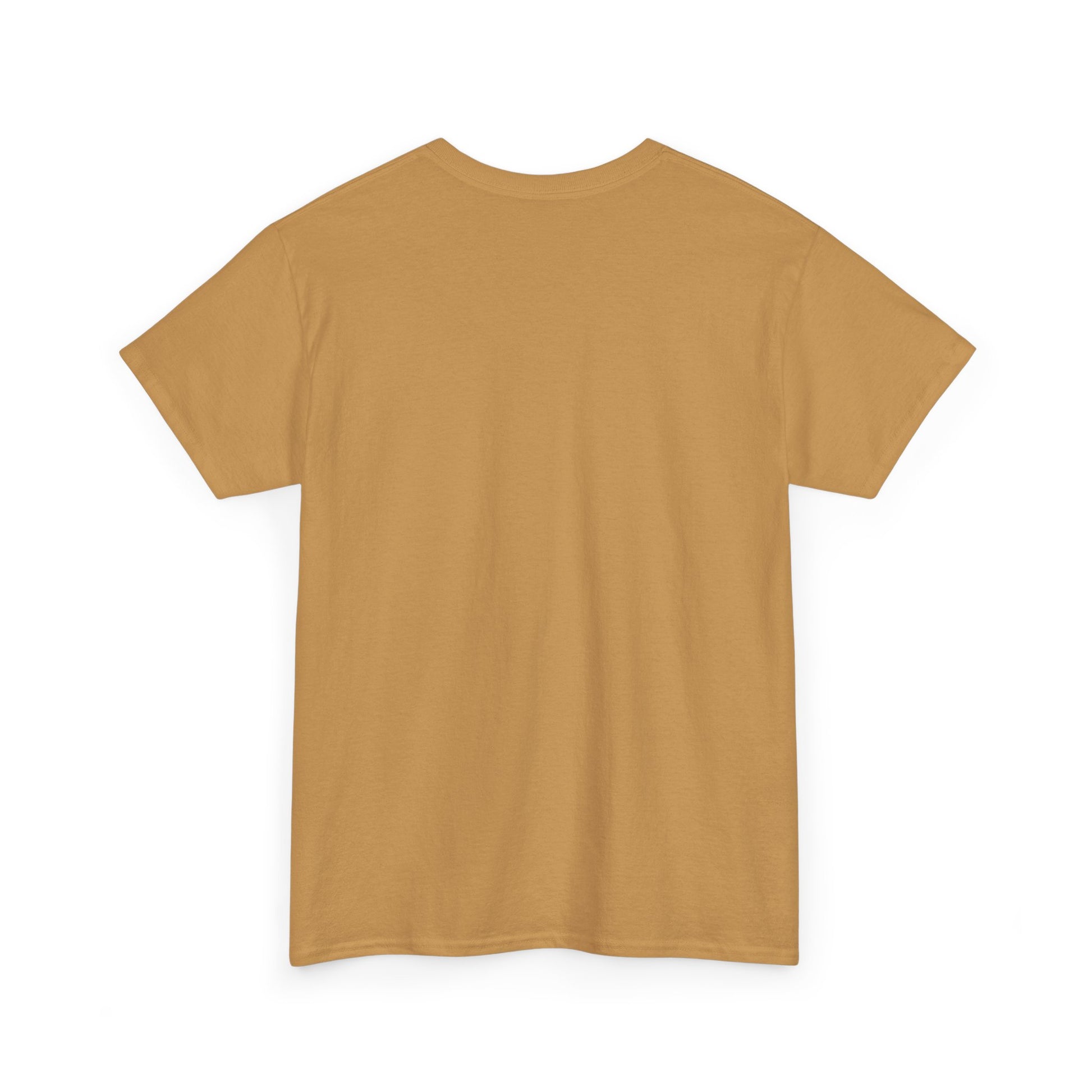 Beach Days Unisex Heavy Cotton Tee | Summer Vibes T-Shirt, Vacation Clothing, Beachwear, Gift for Beach Lovers, Relaxing Tee